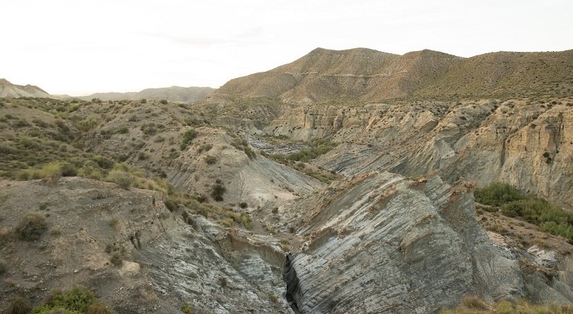 Drought in Andalucia